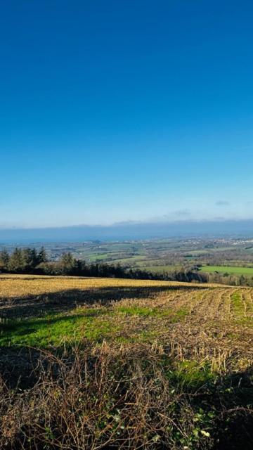 Sur Les Hauteurs De Locronan Exterior foto